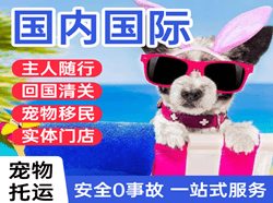 太平机场快递国际宠物托运 【国